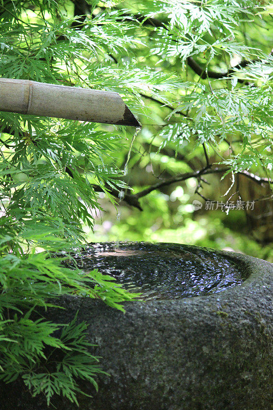 竹制水柱，夏木八町花岗岩盆地，日式花园/枫木